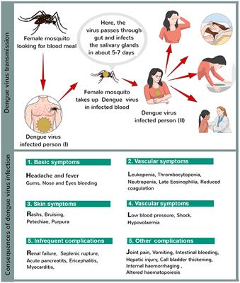 Frontiers | Prevention And Control Strategies To Counter Dengue Virus ...